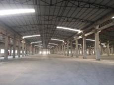  广州南沙区现大型标准单一层厂房约五万平米带卸货平台